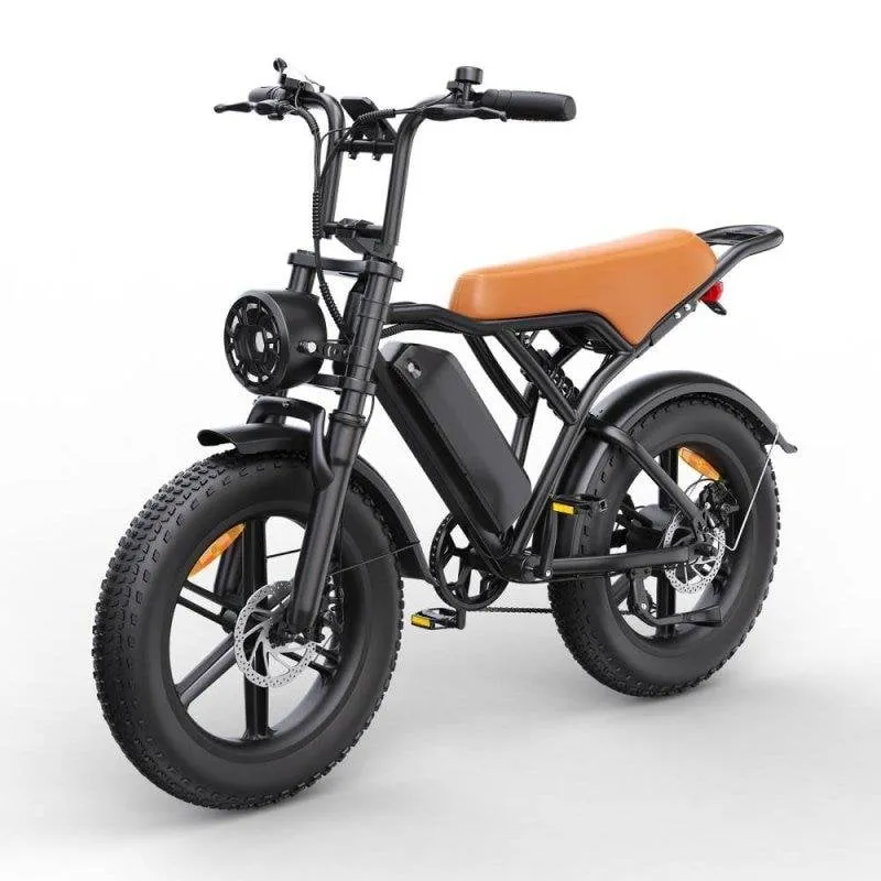 Bicicletta elettrica Toofly G20 con motore 250W - immagine 1