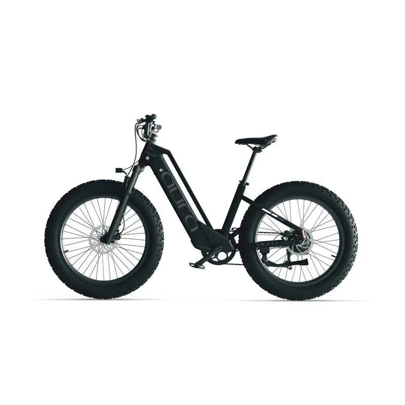 Bicicletta elettrica Cyrusher Aura 52V 250W Batteria 780Wh Pneumatici larghi - immagine 1