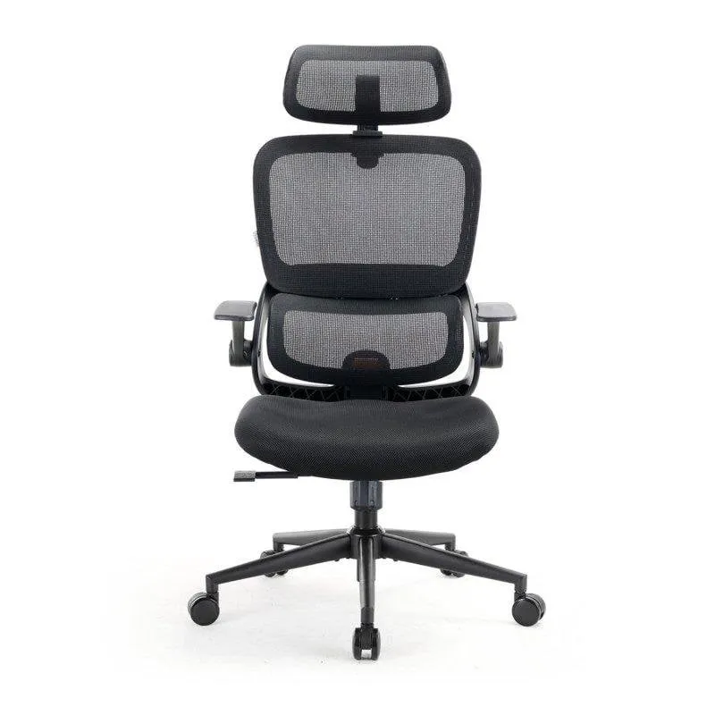 Sedia ergonomica Sihoo B100 SE con supporto lombare e braccioli ribaltabili - immagine 1