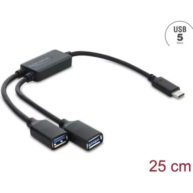 Hub Delock 2 porte 5 Gbit/s USB-C modello 64373 compatto e veloce - immagine 1
