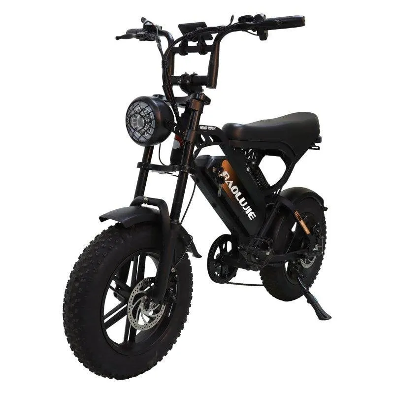 Bicicletta Elettrica Baolujie F2 500 W Batteria 48V13Ah - immagine 1