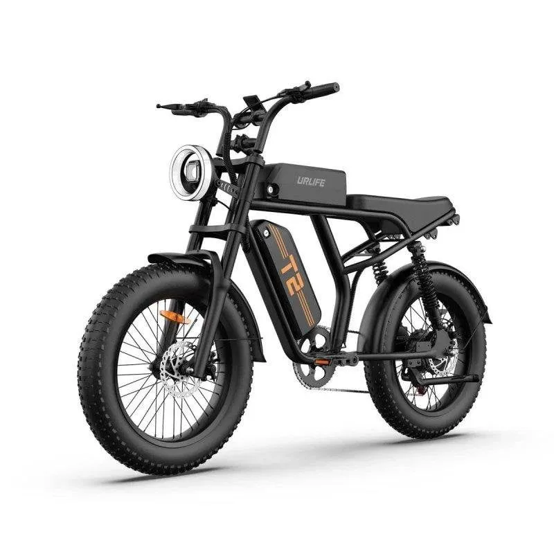 Bicicletta elettrica URLIFE T2 250 W 48 V 15,6 Ah 20 x 4 - immagine 1