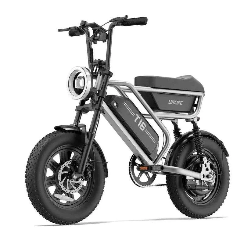 Bicicletta elettrica URLIFE T16 250 W 48 V 13 Ah pneumatici all-terrain 16 pollici - immagine 1