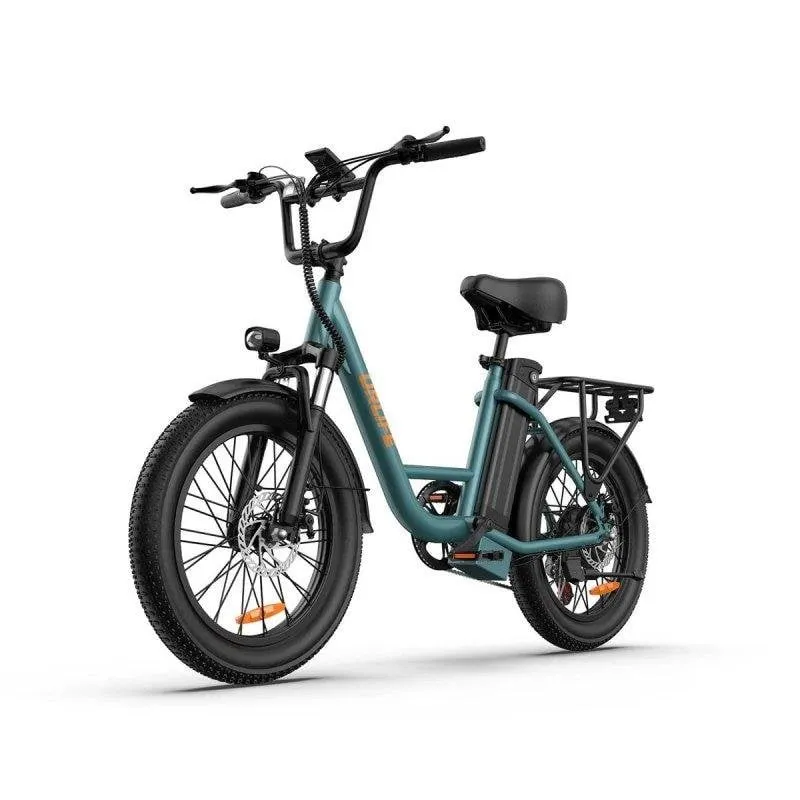 Bicicletta URLIFE E20 pneumatici larghi 20x3 - immagine 1
