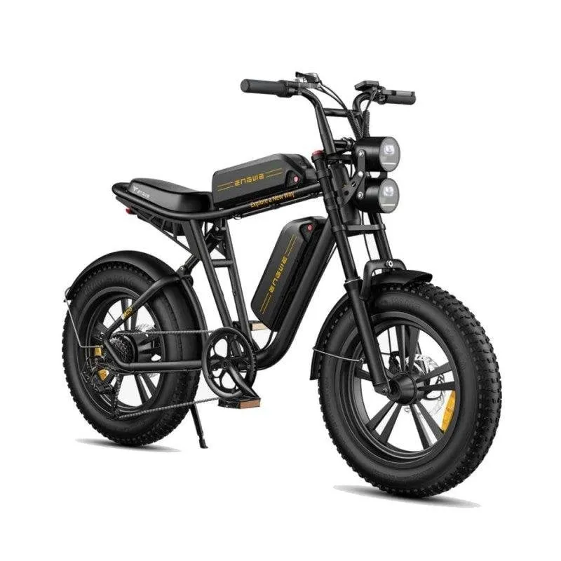 Bicicletta Elettrica Engwe M20 Tutto-Terreno 750W Doppia Batterie - immagine 1