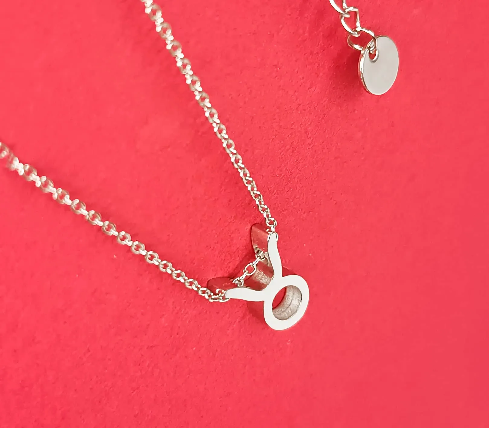 Only faith Collana del segno zodiacale in acciaio inossidabile, bella carta di significato del segno zodiacale, ciondolo oroscopo per le donne o l'uomo regalo. - immagine 3
