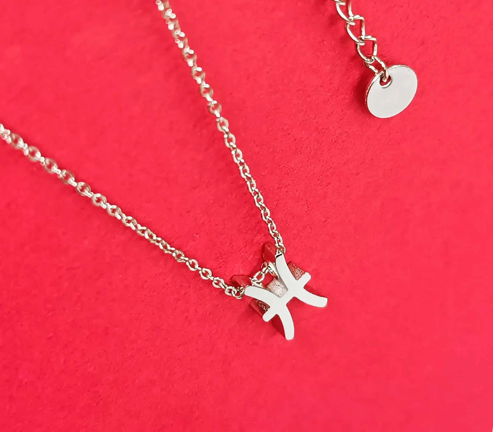 Only faith Collana del segno zodiacale in acciaio inossidabile, bella carta di significato del segno zodiacale, ciondolo oroscopo per le donne o l'uomo regalo. - immagine 6