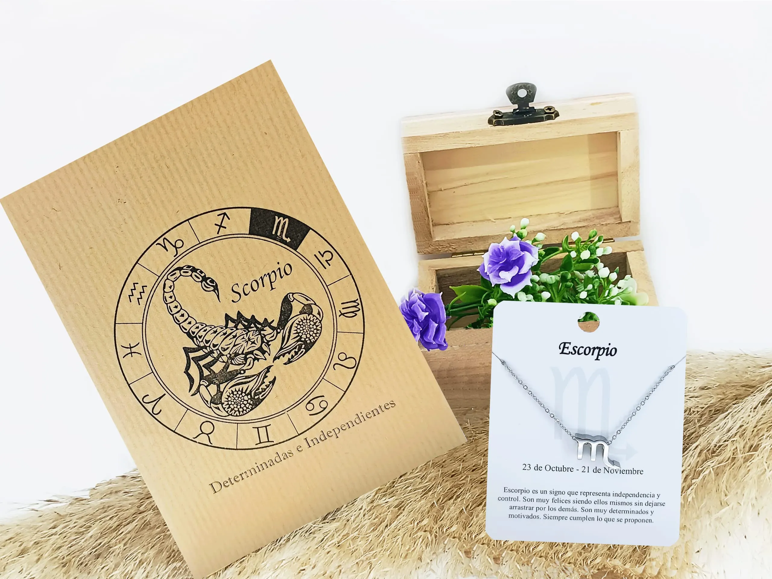 Only faith Collana del segno zodiacale in acciaio inossidabile, bella carta di significato del segno zodiacale, ciondolo oroscopo per le donne o l'uomo regalo. - immagine 2