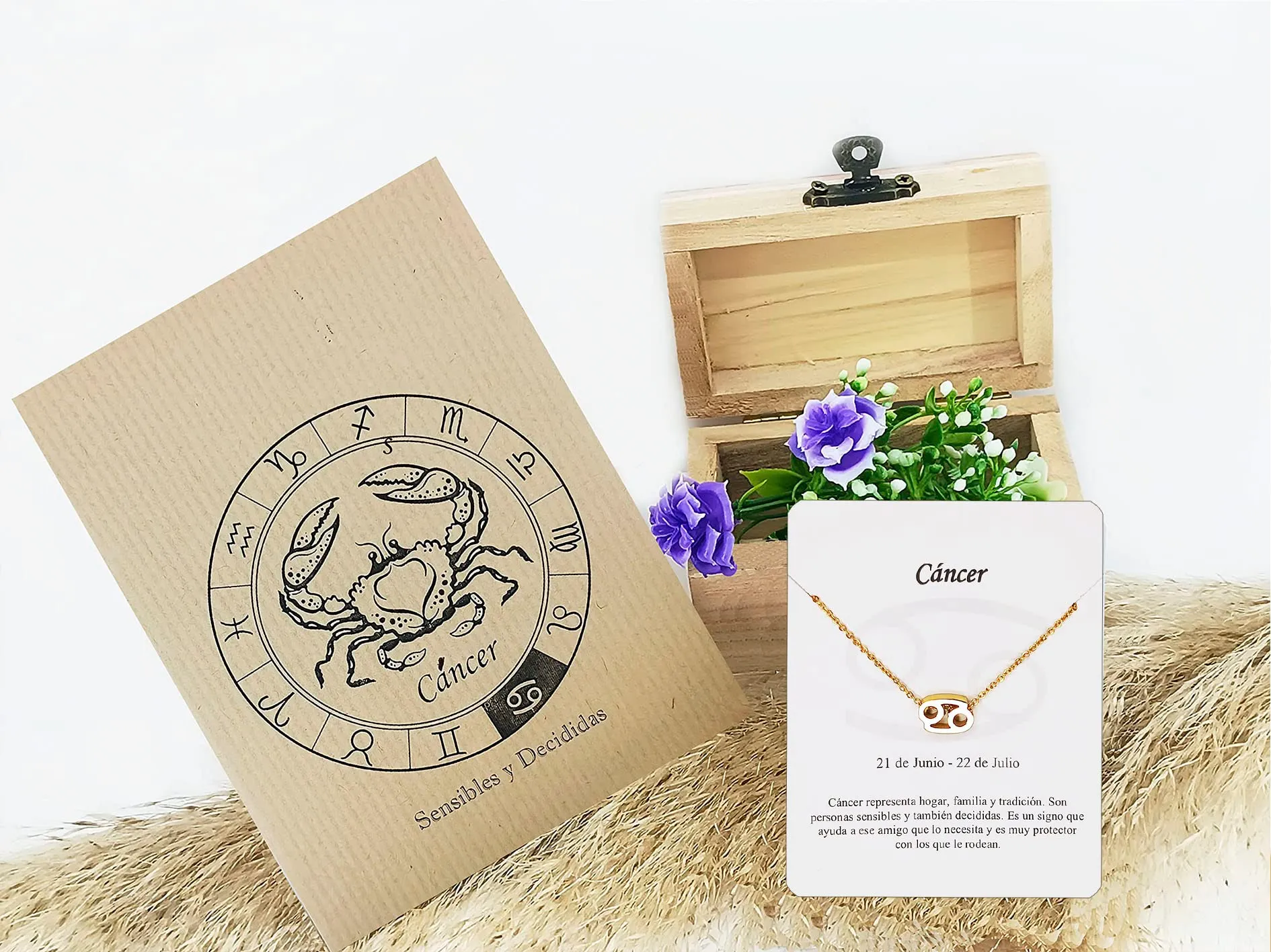 Only faith Collana del segno zodiacale in acciaio inossidabile, bella carta di significato del segno zodiacale, ciondolo oroscopo per le donne o l'uomo regalo. - immagine 2