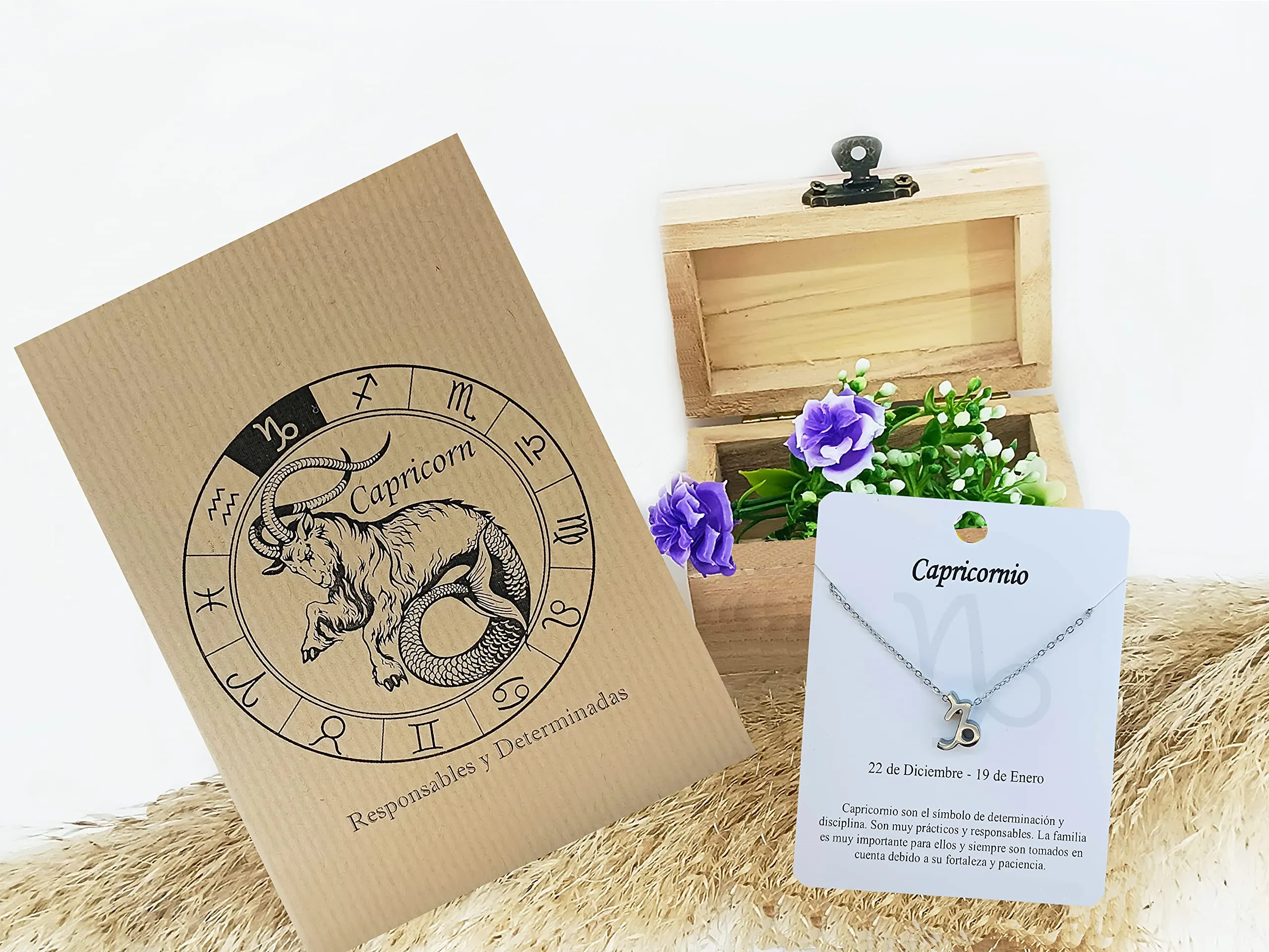 Only faith Collana del segno zodiacale in acciaio inossidabile, bella carta di significato del segno zodiacale, ciondolo oroscopo per le donne o l'uomo regalo. - immagine 2