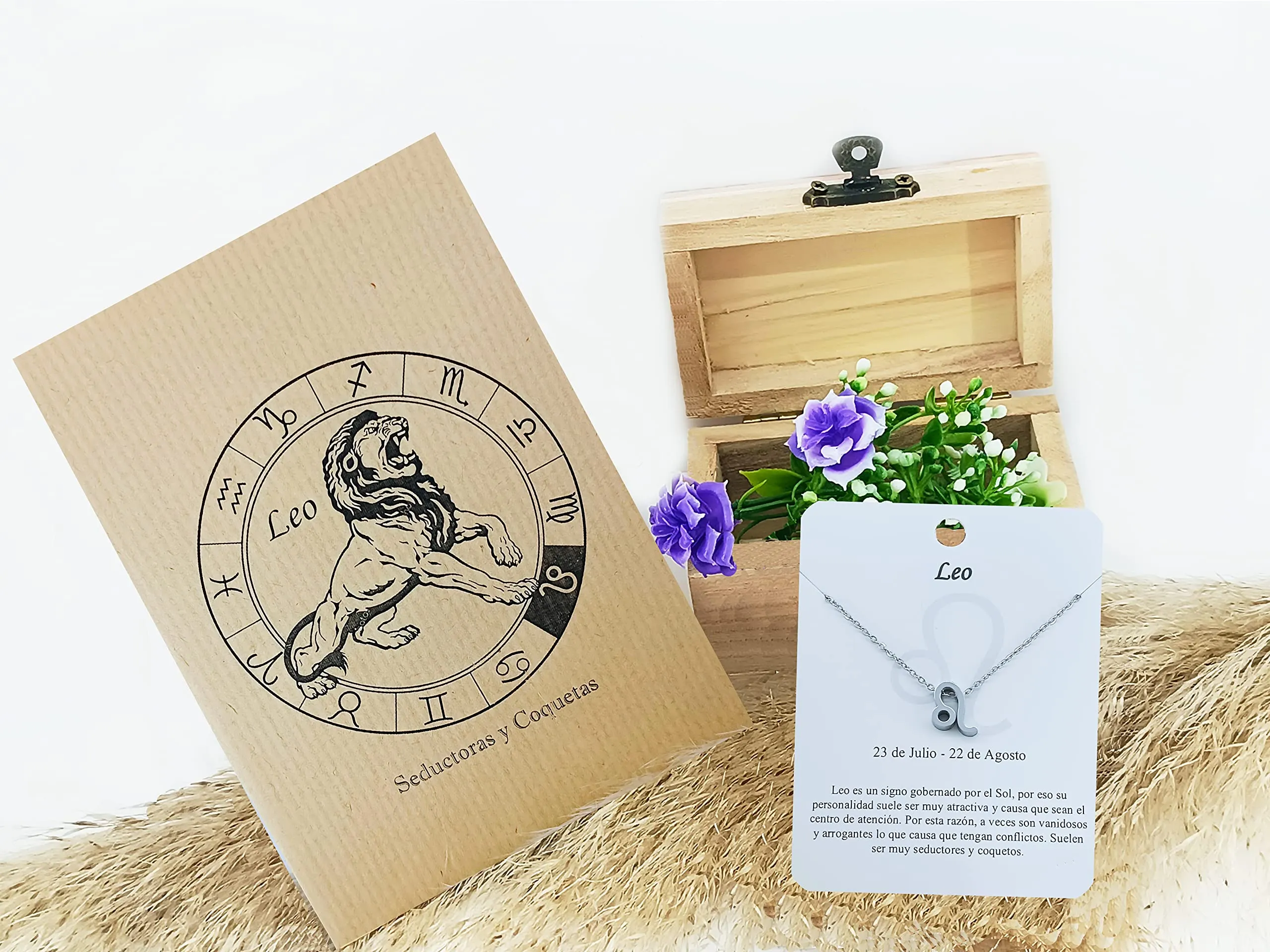 Only faith Collana del segno zodiacale in acciaio inossidabile, bella carta di significato del segno zodiacale, ciondolo oroscopo per le donne o l'uomo regalo. - immagine 2