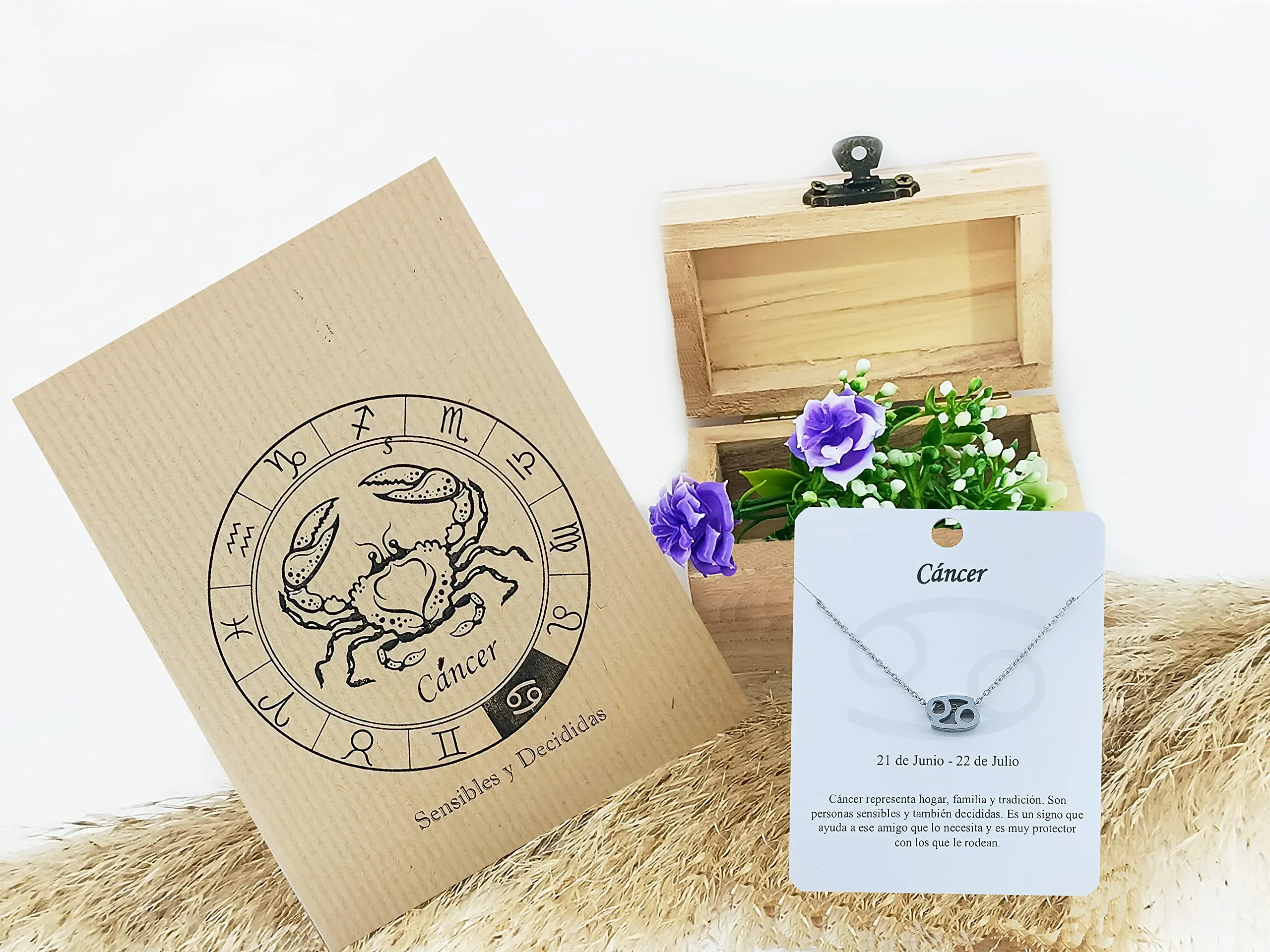 Only faith Collana del segno zodiacale in acciaio inossidabile, bella carta di significato del segno zodiacale, ciondolo oroscopo per le donne o l'uomo regalo. - immagine 2