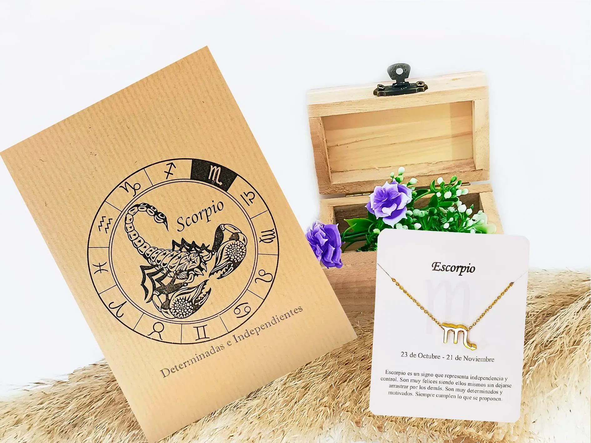 Only faith Collana del segno zodiacale in acciaio inossidabile, bella carta di significato del segno zodiacale, ciondolo oroscopo per le donne o l'uomo regalo. - immagine 2