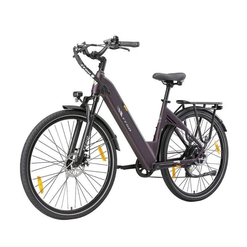 Bicicletta Elettrica TTGO C3 SE - 250W 52Nm 36V 18Ah - immagine 1