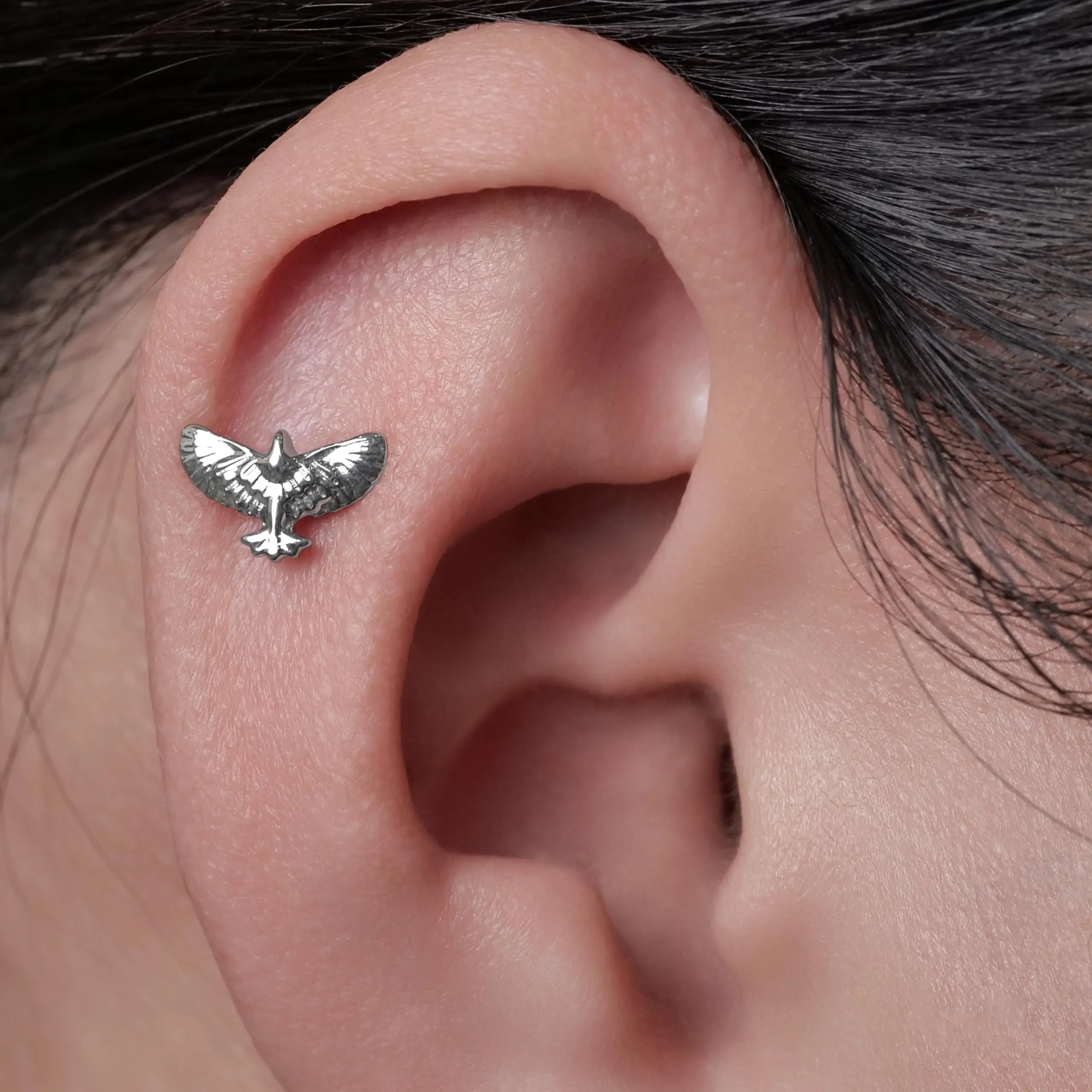 Limerencia in Titanio Medico Tappo a Vite, Orecchini Anallergici G23 Stud per Orecchie Sensibili, Senza Nichel per Donne e Ragazze - immagine 3