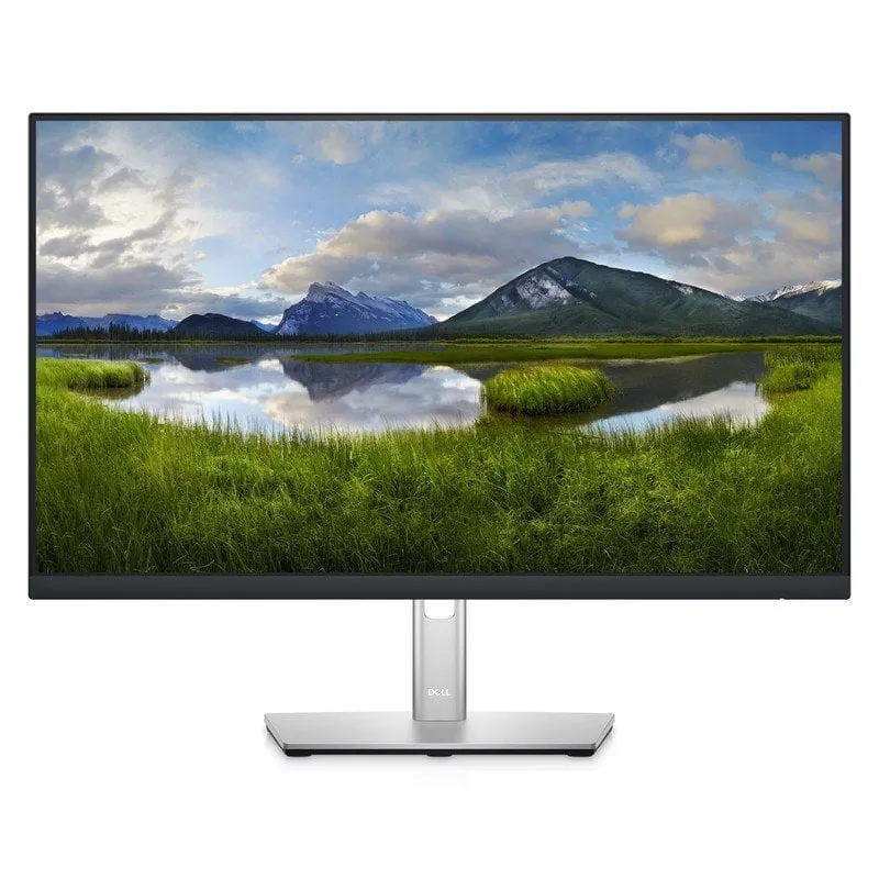 DELL P Series Monitor 24 USB-C Hub - P2422HE - immagine 1