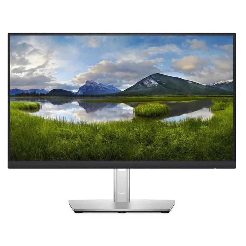 DELL P Series Monitor 24 - P2422H - immagine 1