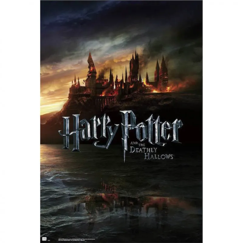 Maxi poster Erik Harry Potter 2 91,5x61 cm - immagine 1