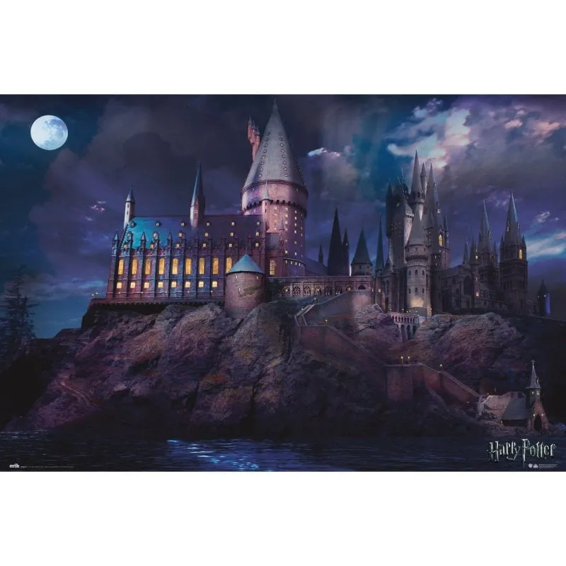 Maxi poster Erik Harry Potter Hogwarts 91,5x61 cm - immagine 1