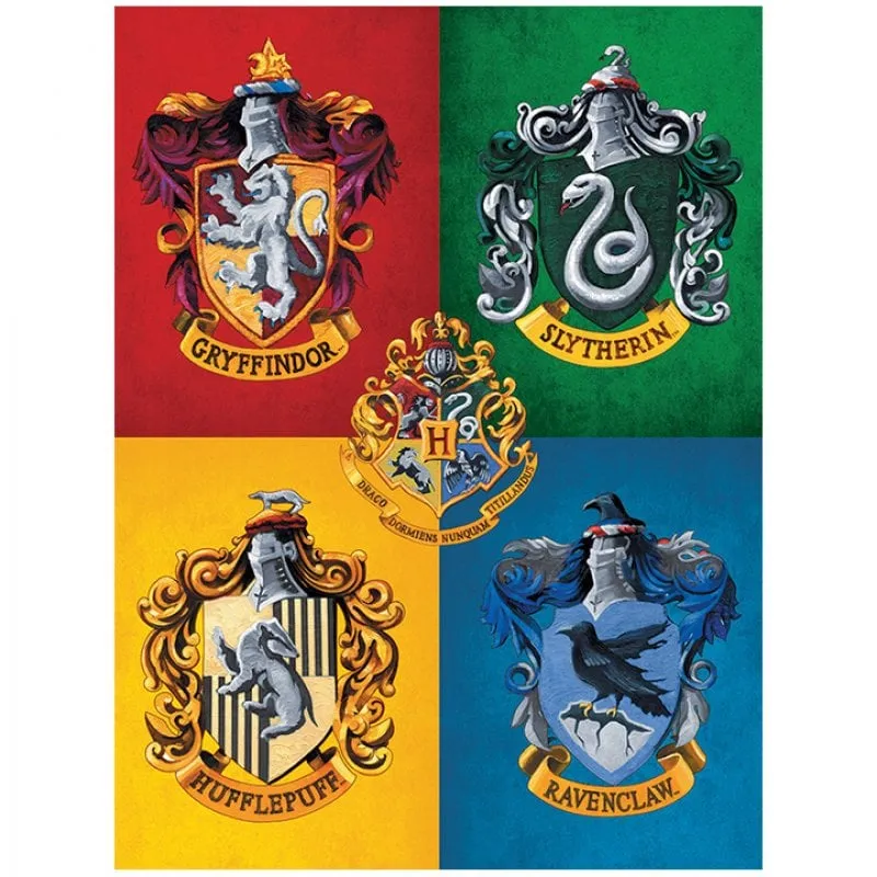 Piramide Tela Harry Potter Stemmi Colorati 30x40cm - immagine 1