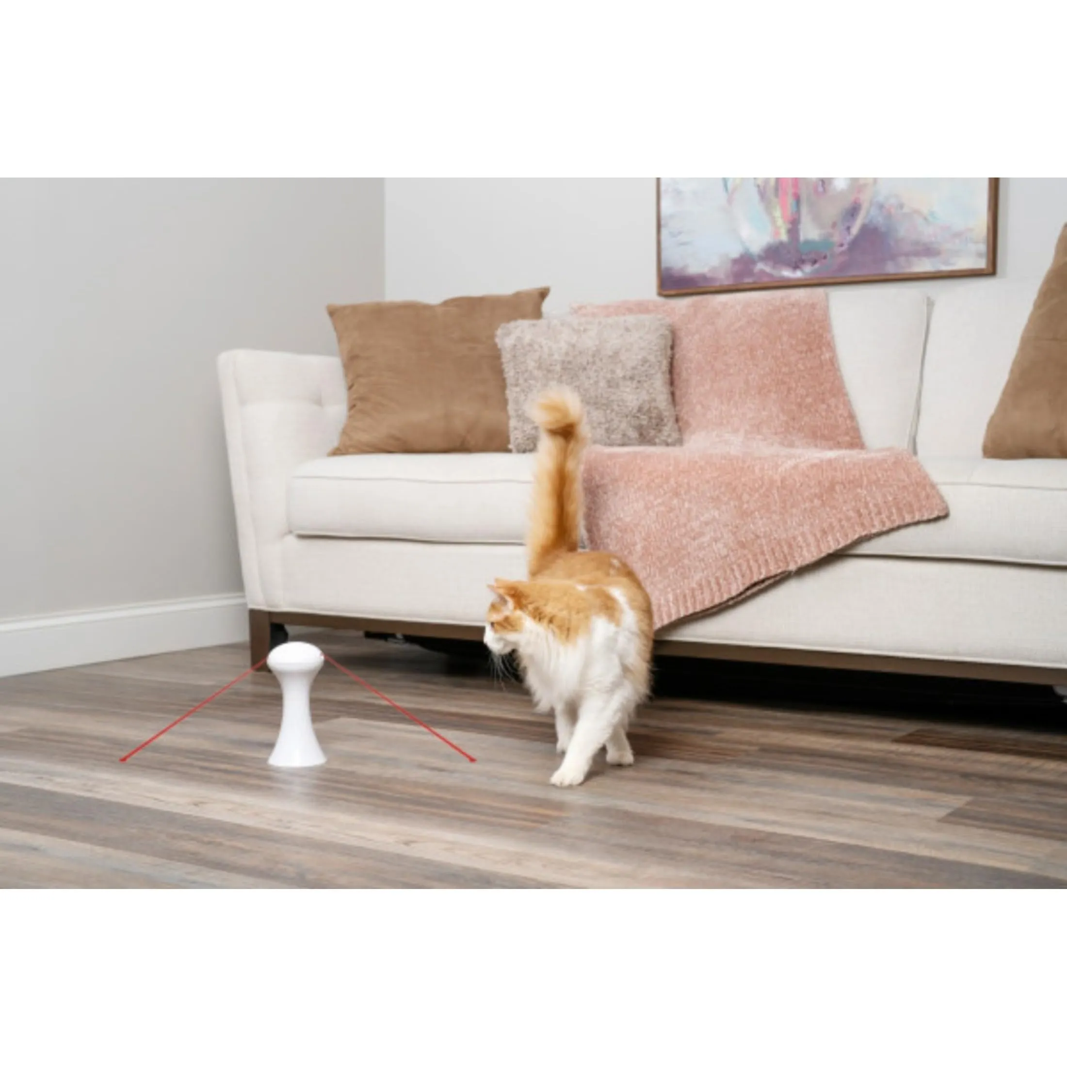 PetSafe Giocattolo Multi Luci per Gatti- 0.34 kg - immagine 2