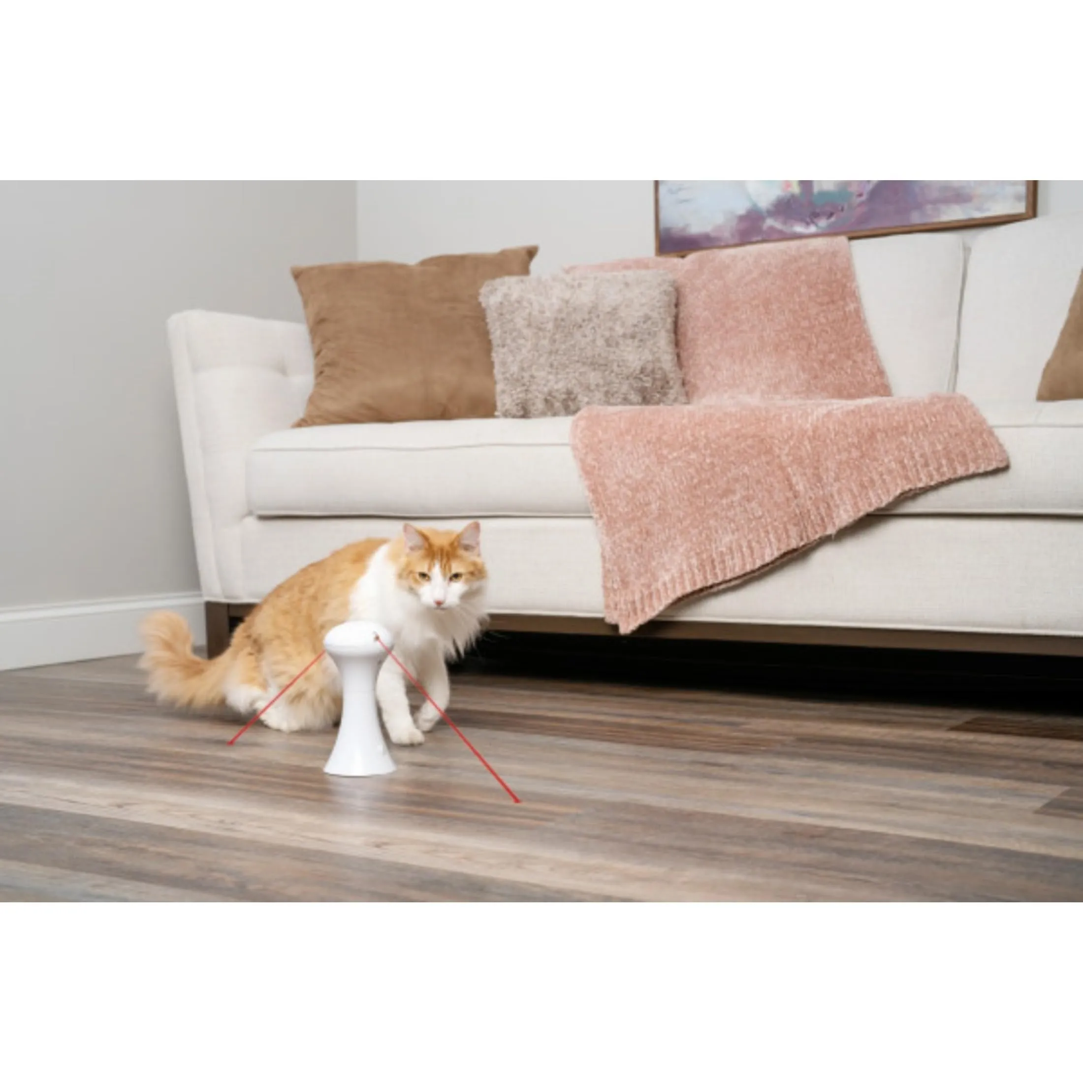 PetSafe Giocattolo Multi Luci per Gatti- 0.34 kg - immagine 3