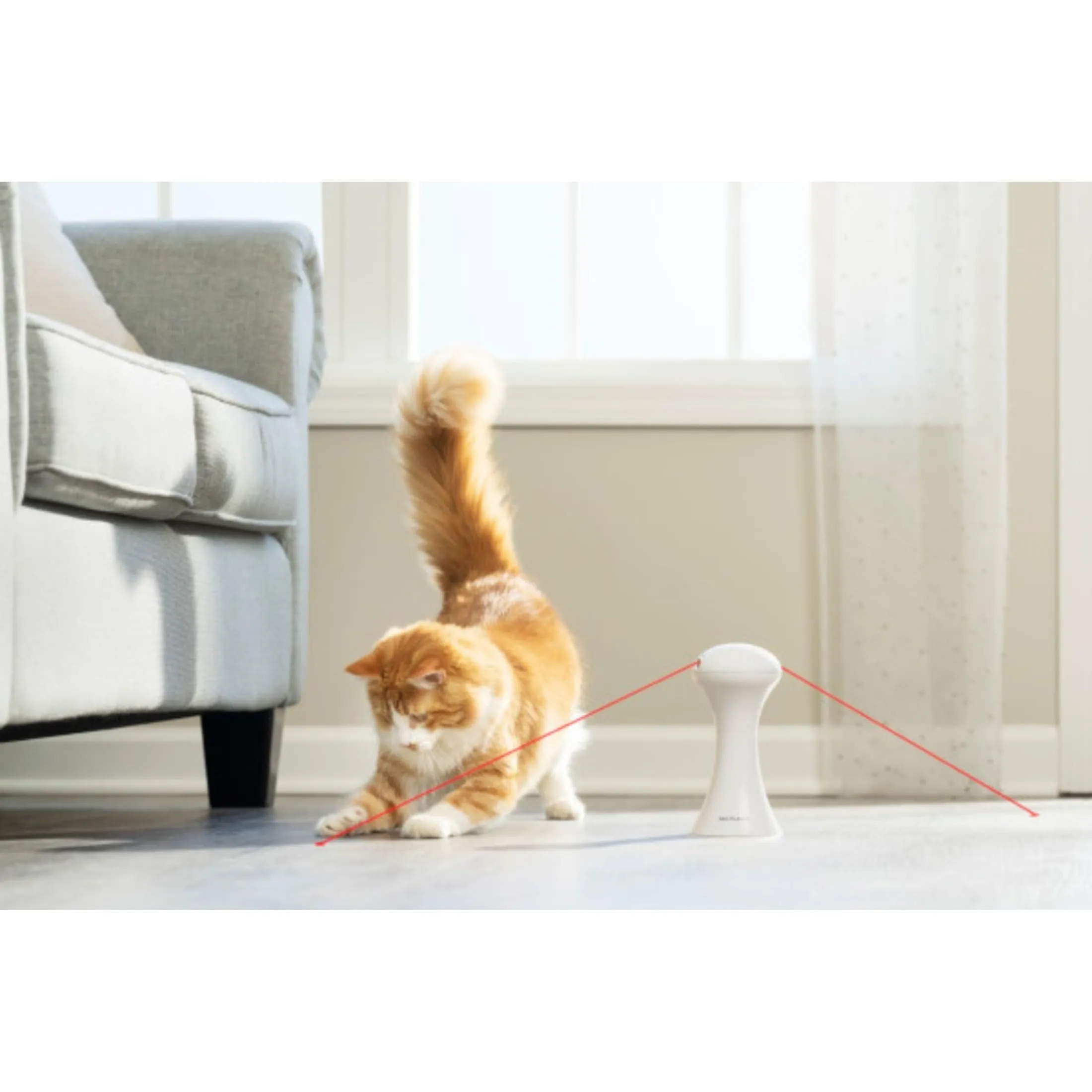 PetSafe Giocattolo Multi Luci per Gatti- 0.34 kg - immagine 4