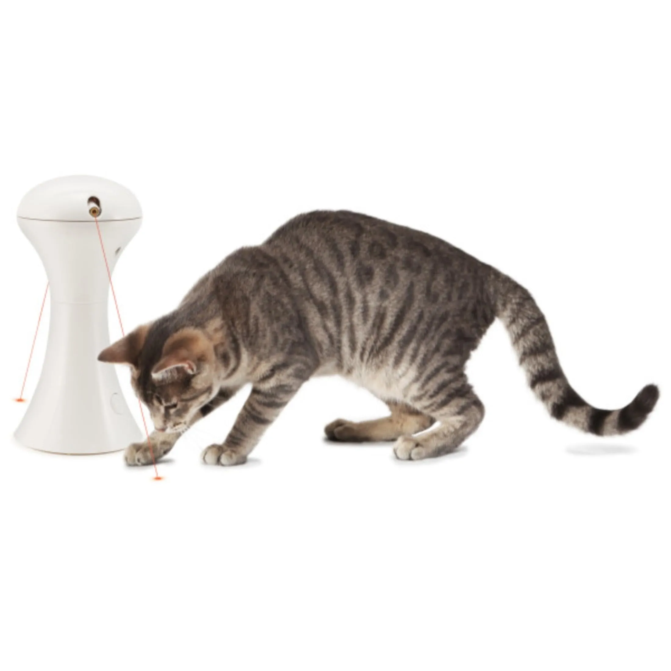 PetSafe Giocattolo Multi Luci per Gatti- 0.34 kg - immagine 5