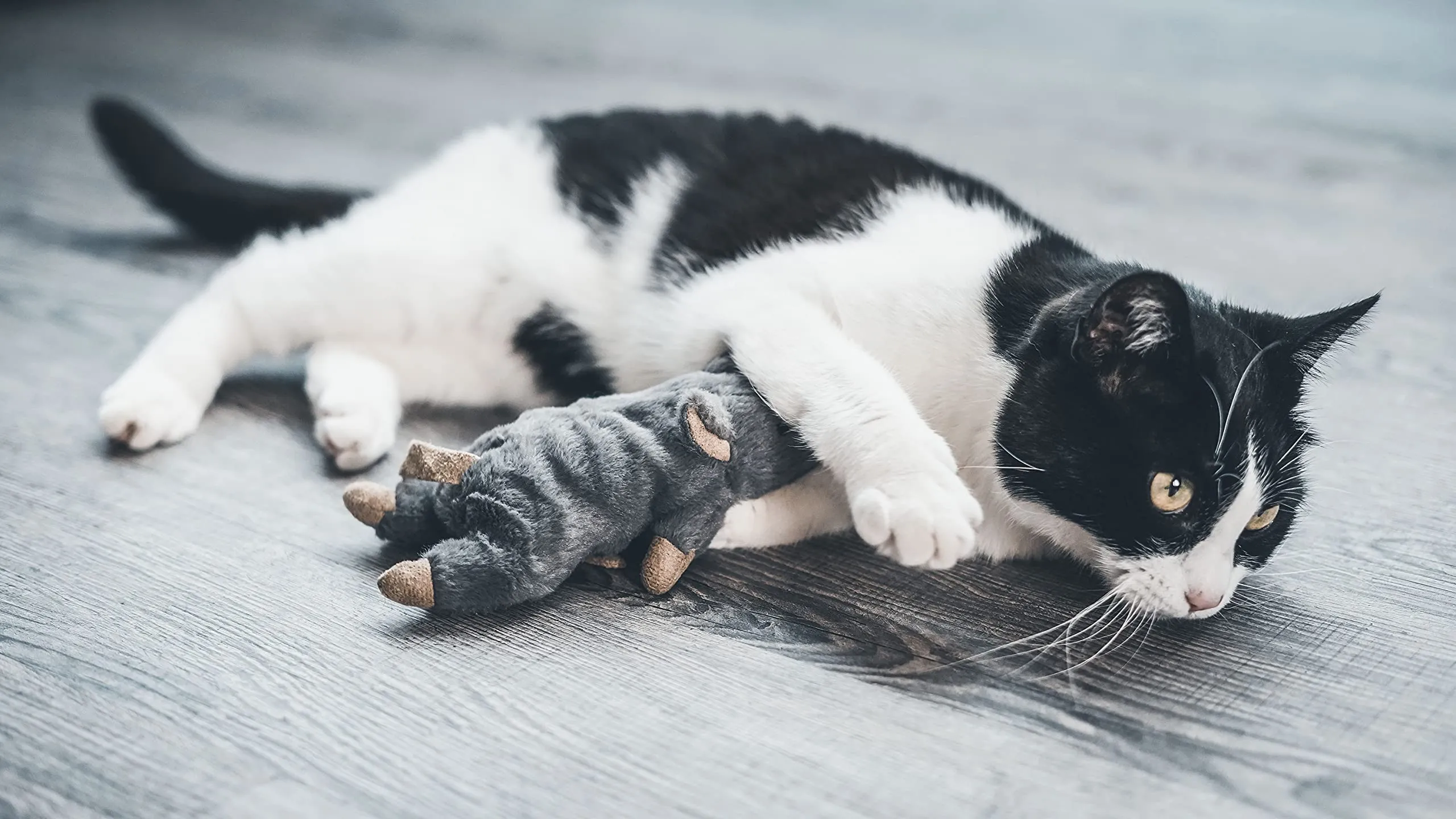 TYROL - Peluche gatto a forma di topo gigante - Giochi per gatto a base di carta crespa ed erba gatta - Aiuta lo sviluppo fisico e mentale del gatto - Dimensione 20 cm - 1 unità - immagine 4