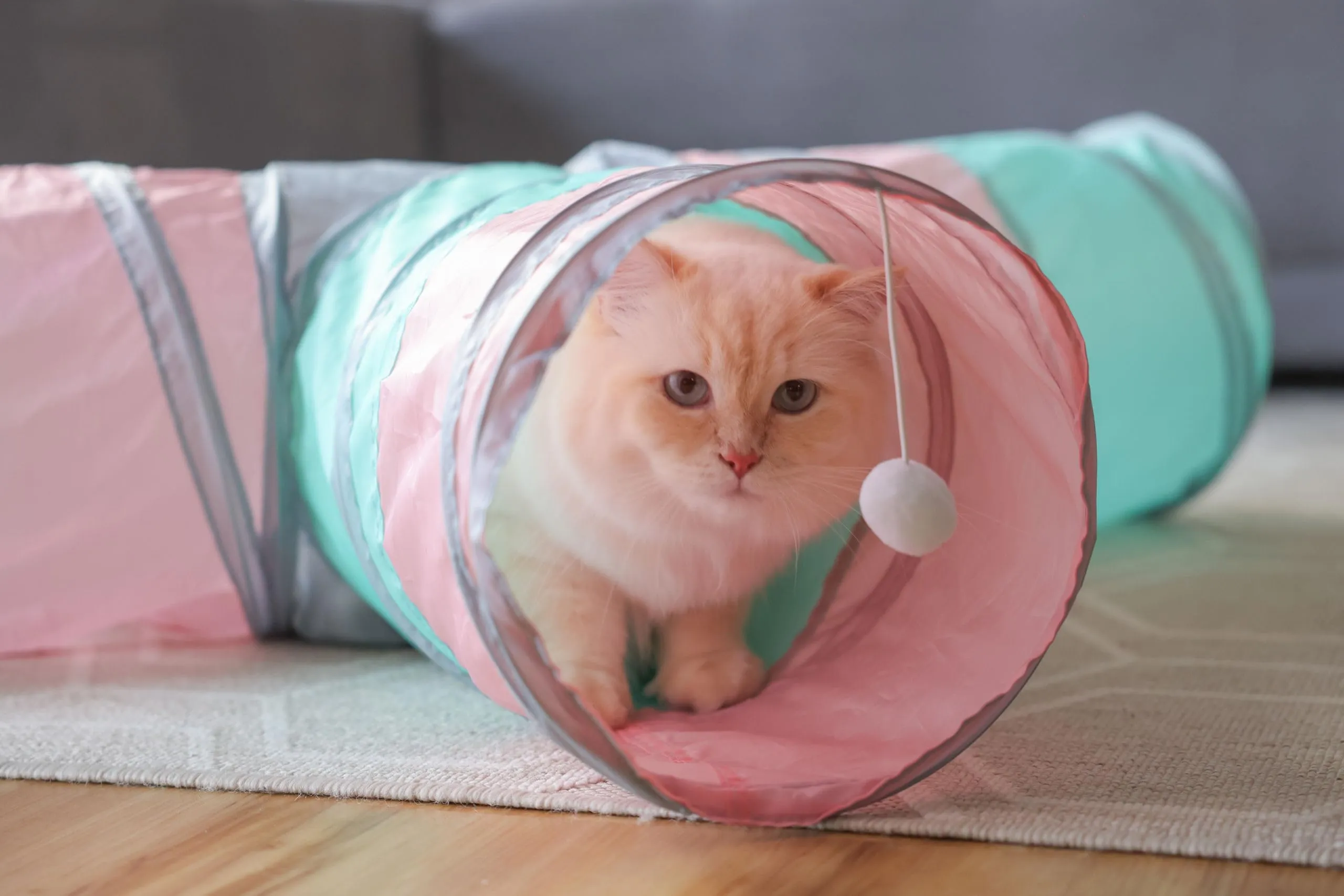KERBL PET Tunnel gatti Triangle, turch./ rosa/grigio, Ø25x80x50 cm - immagine 2