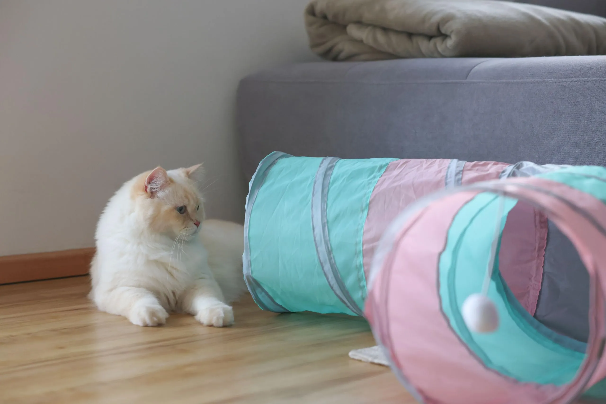 KERBL PET Tunnel gatti Triangle, turch./ rosa/grigio, Ø25x80x50 cm - immagine 4