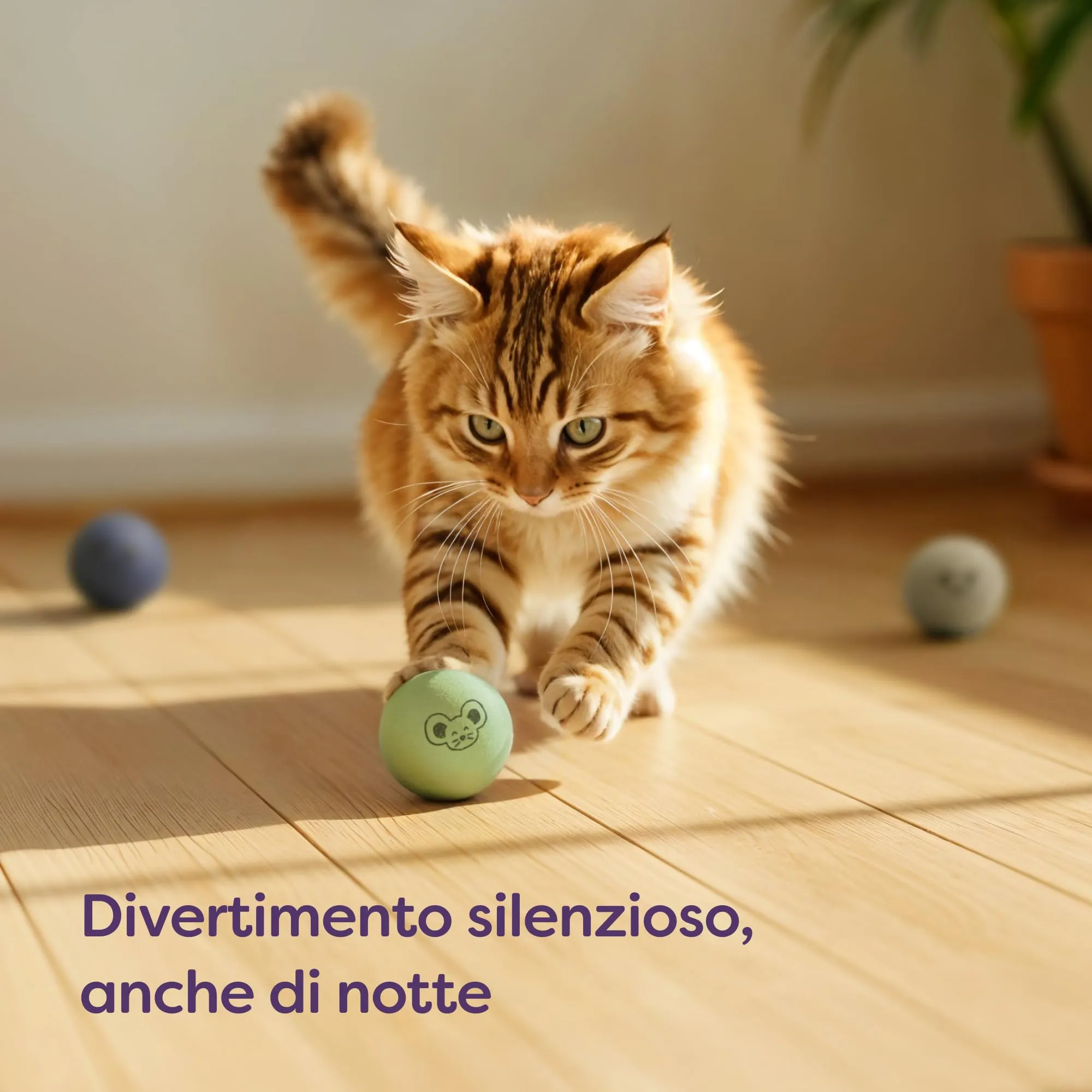 Knupis 6 Palline di per Gatti e Gattini con Sacchetto – Gioco Silenzioso in 100% Lana – Giocattolo Robusto e Durevole – Palline Ben Visibili per Gatti e Kitten - immagine 2