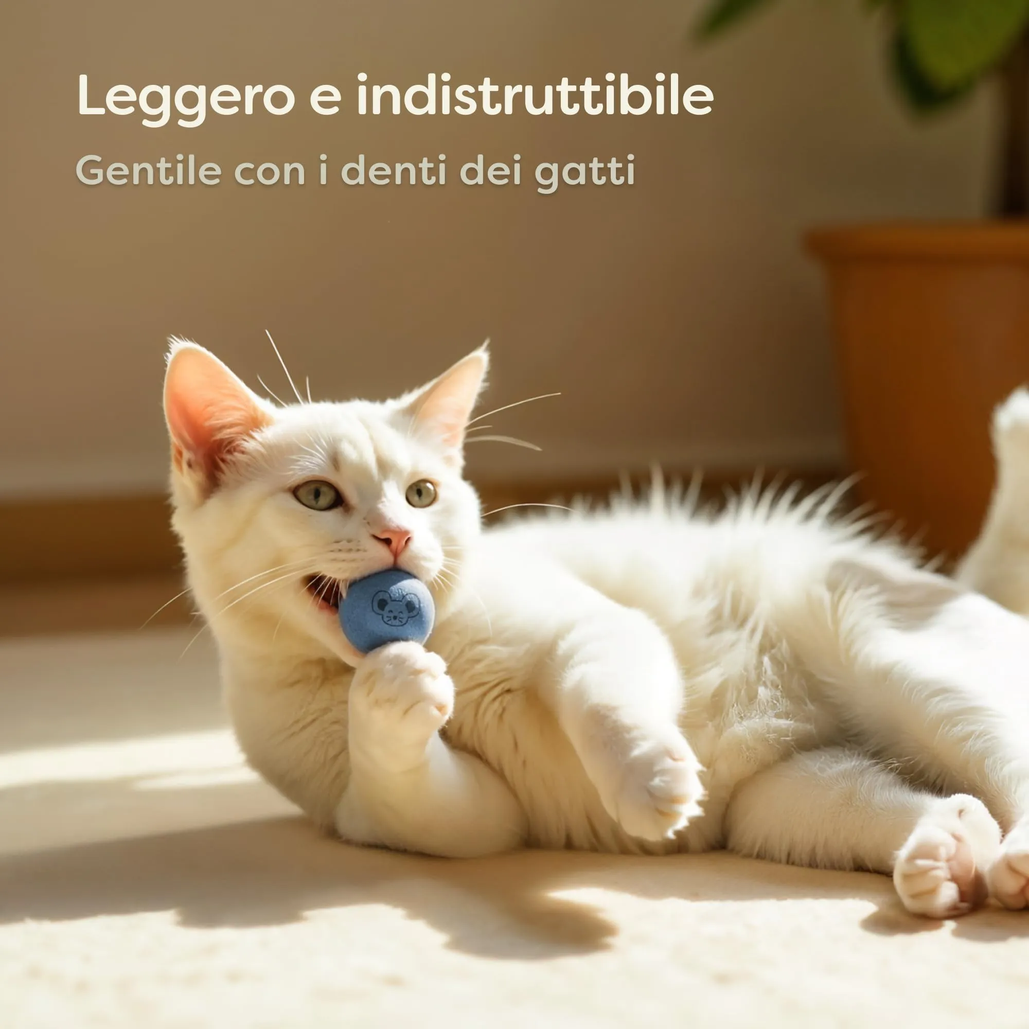 Knupis 6 Palline di per Gatti e Gattini con Sacchetto – Gioco Silenzioso in 100% Lana – Giocattolo Robusto e Durevole – Palline Ben Visibili per Gatti e Kitten - immagine 3