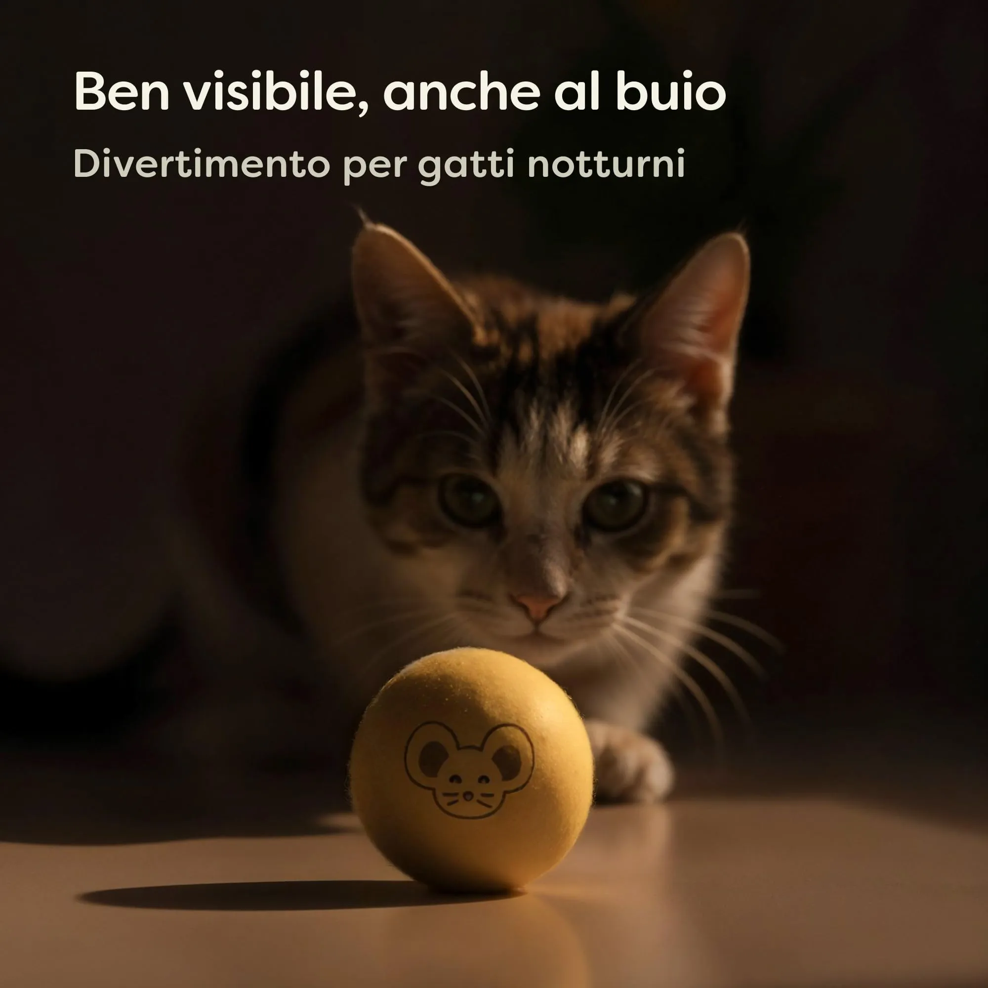 Knupis 6 Palline di per Gatti e Gattini con Sacchetto – Gioco Silenzioso in 100% Lana – Giocattolo Robusto e Durevole – Palline Ben Visibili per Gatti e Kitten - immagine 4