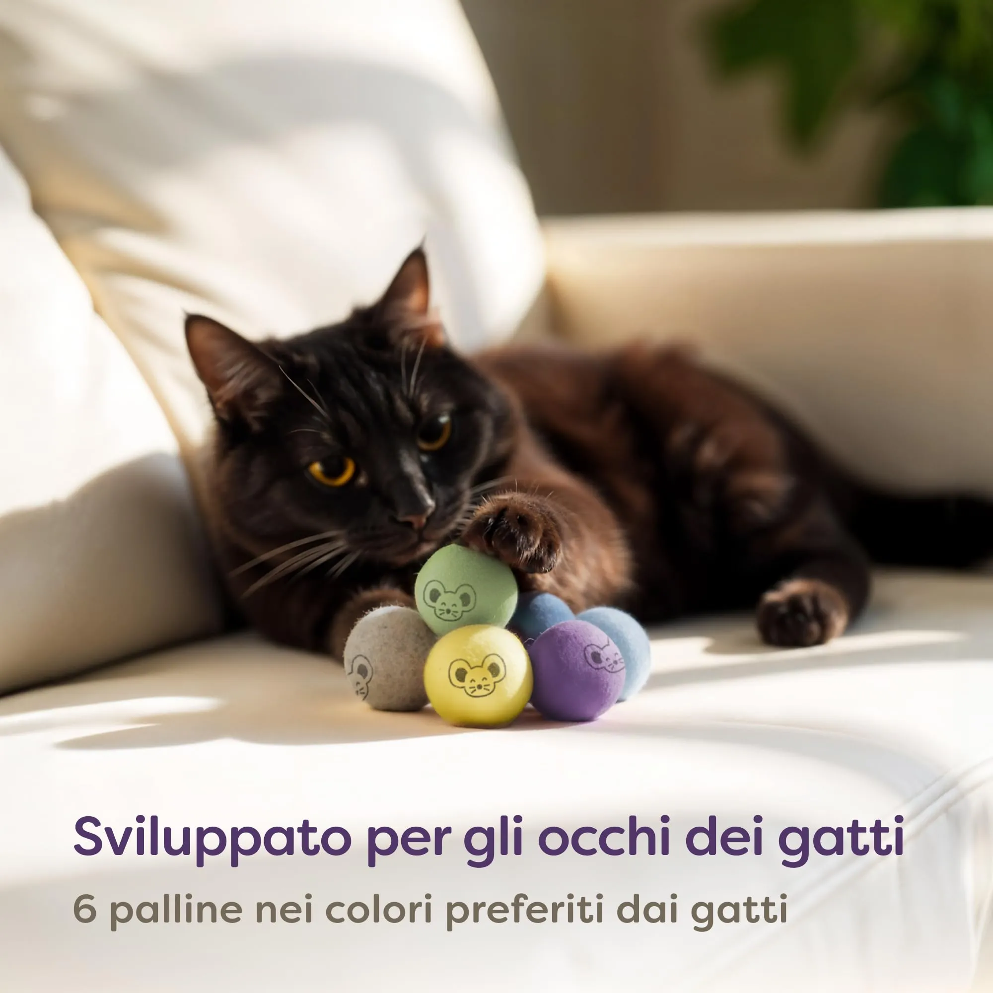 Knupis 6 Palline di per Gatti e Gattini con Sacchetto – Gioco Silenzioso in 100% Lana – Giocattolo Robusto e Durevole – Palline Ben Visibili per Gatti e Kitten - immagine 5