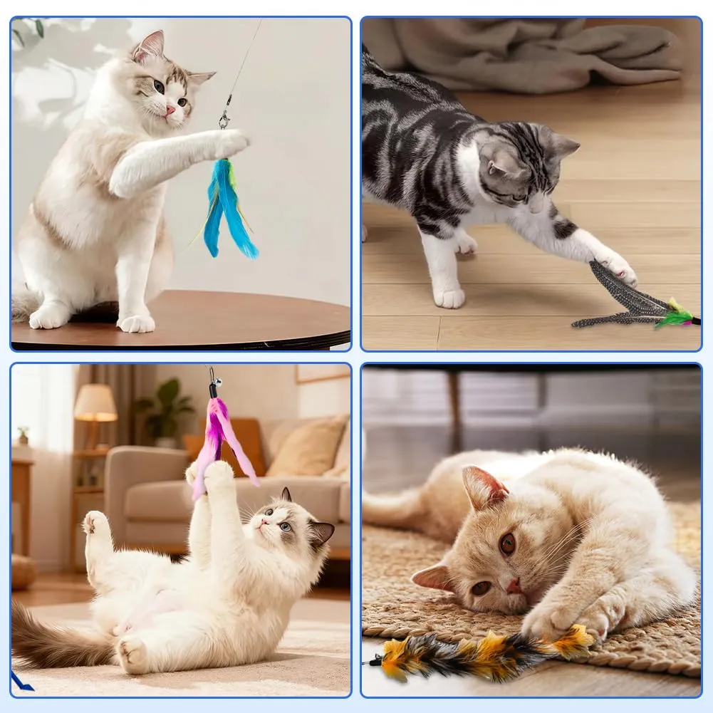 AMFUN 14PCS Giochi con Piume per Gatto, Giocattoli Interattivo con Piume per Gatti, Interattivo Retrattile Bacchetta con Campana per Il Vostro Gatto e Il Gattino - immagine 7
