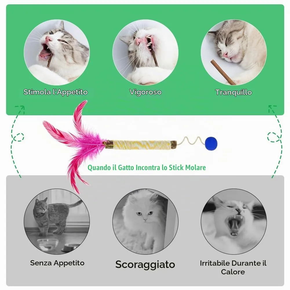 OSDUE Giocattolo di Erba Gatta 14 Pezzi Gatti Masticare per Dental Care - immagine 5