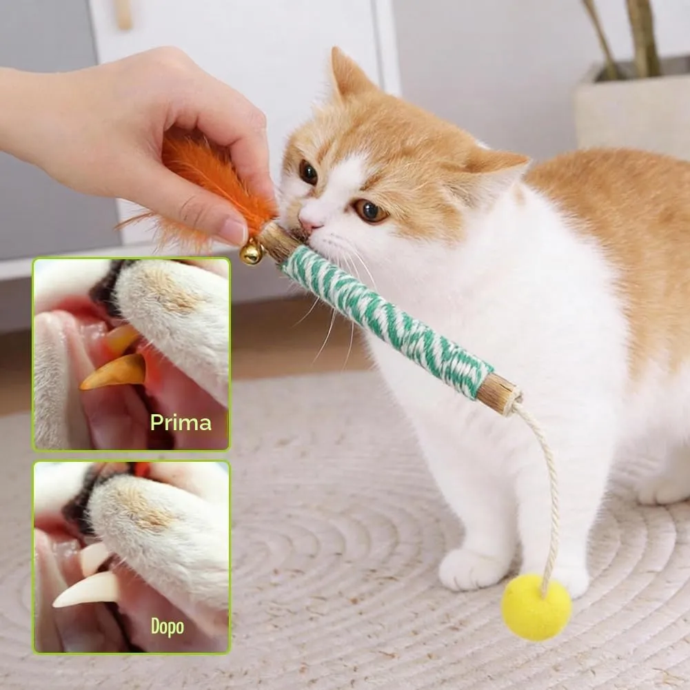 OSDUE Giocattolo di Erba Gatta 14 Pezzi Gatti Masticare per Dental Care - immagine 6