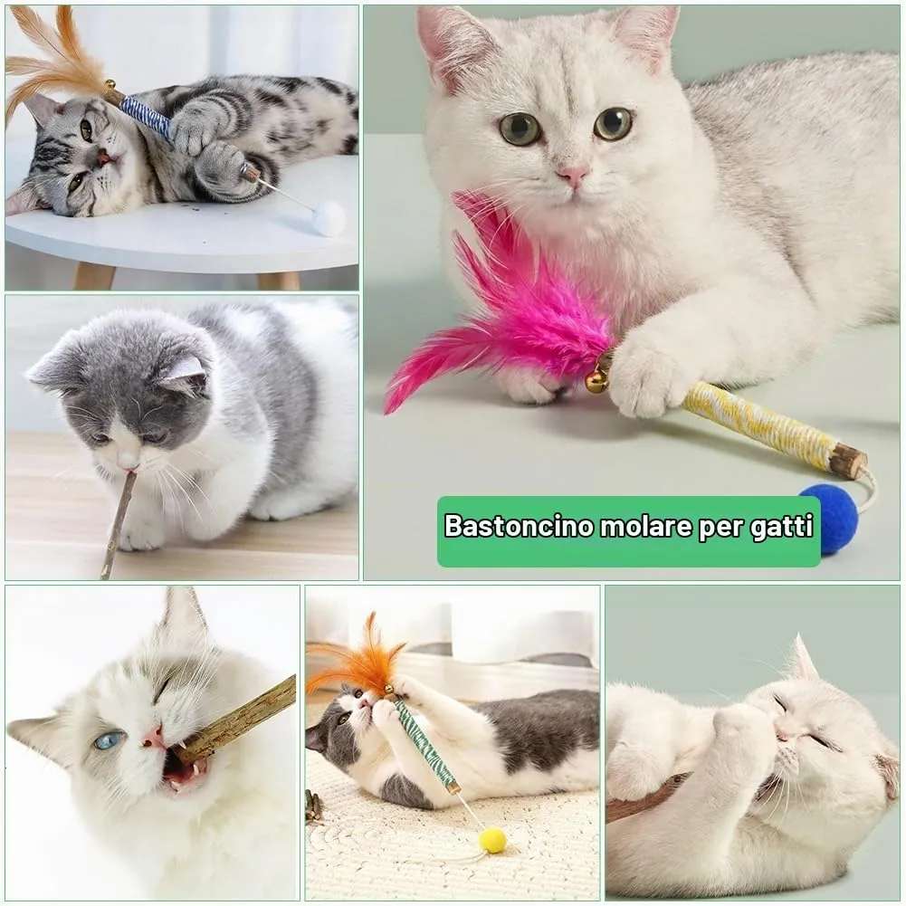 OSDUE Giocattolo di Erba Gatta 14 Pezzi Gatti Masticare per Dental Care - immagine 7