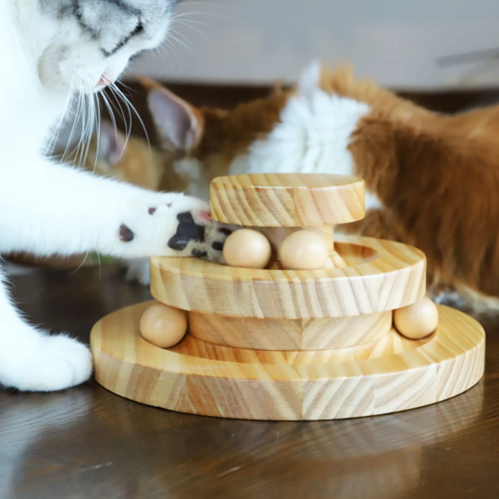 Tarnel Giocattolo interattivo per gatti, in legno, a due strati, girevole, per Smart Track Ball a dondolo, idea regalo - immagine 2