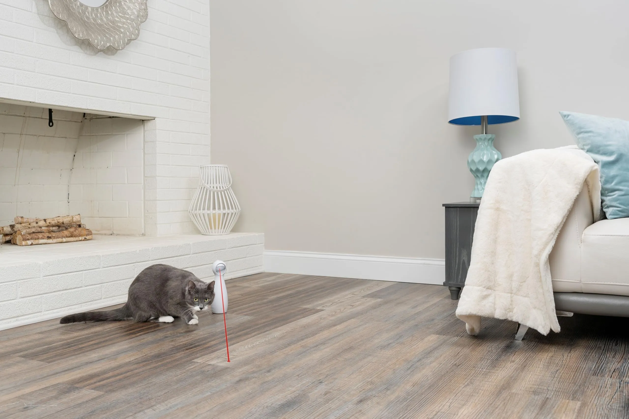 PetSafe Bolt Light - immagine 2