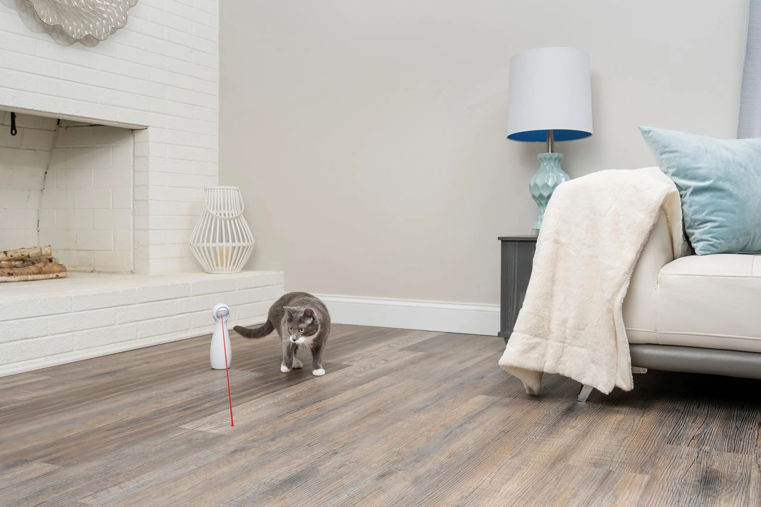 PetSafe Bolt Light - immagine 4
