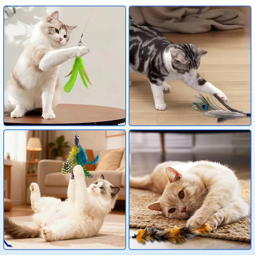 AMFUN 10PCS Giochi con Piume per Gatto, Giocattoli Interattivo con Piume per Gatti, Piuma Giocattolo Ricariche con Campana per Il Vostro Gatto e Il Gattino - immagine 7