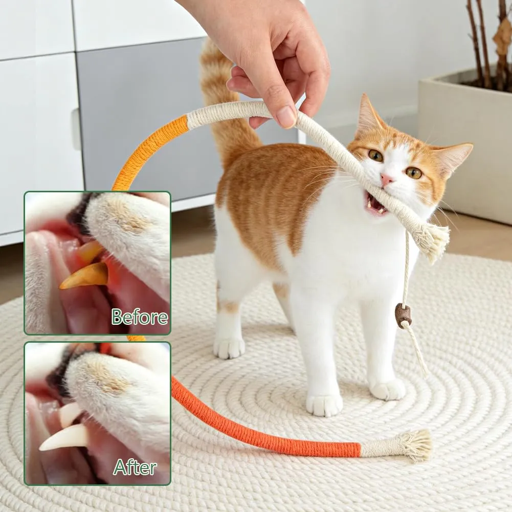 OSDUE Giocattolo di Erba Gatta 13 Pezzi Gatti Masticare per Dental Care - immagine 4
