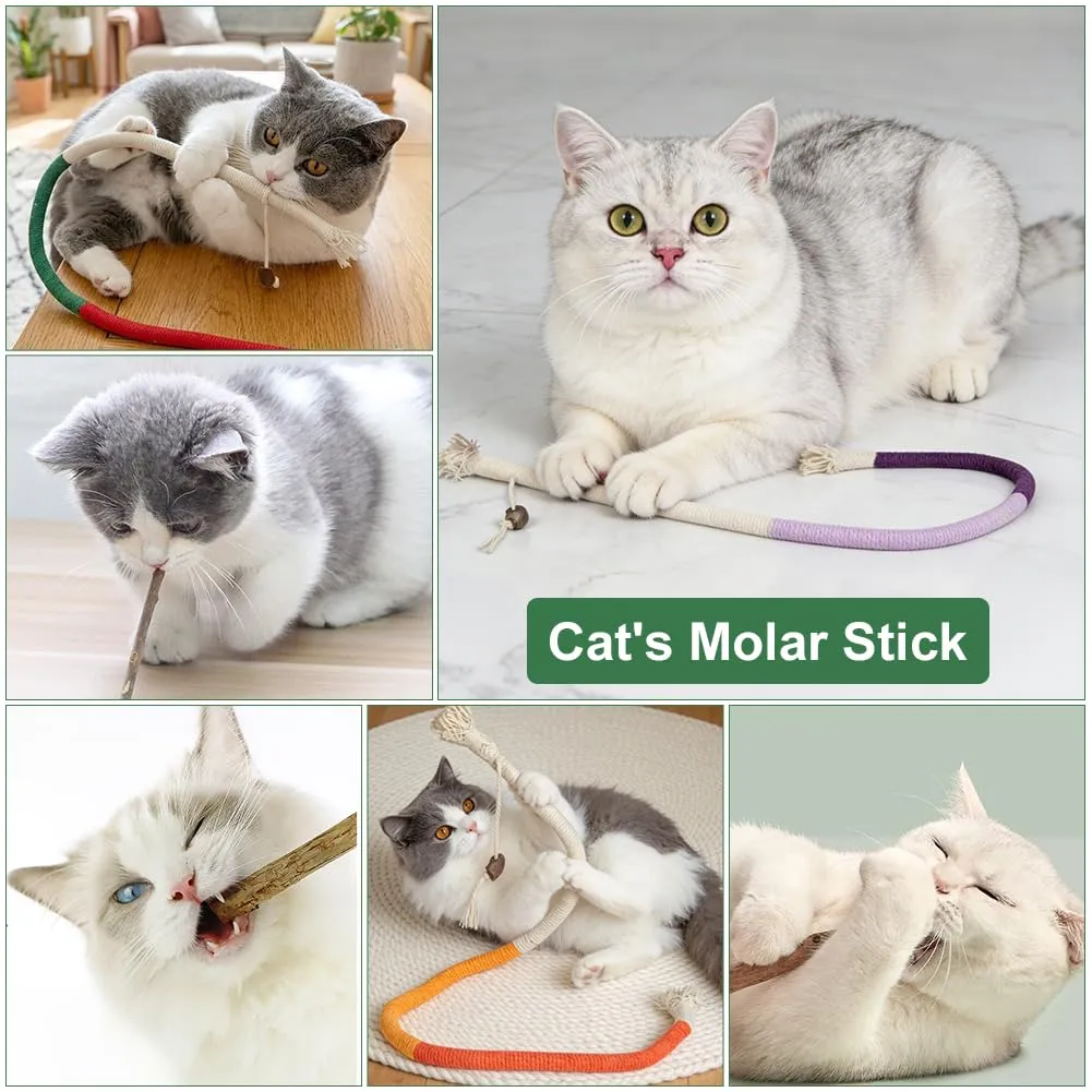 OSDUE Giocattolo di Erba Gatta 13 Pezzi Gatti Masticare per Dental Care - immagine 7