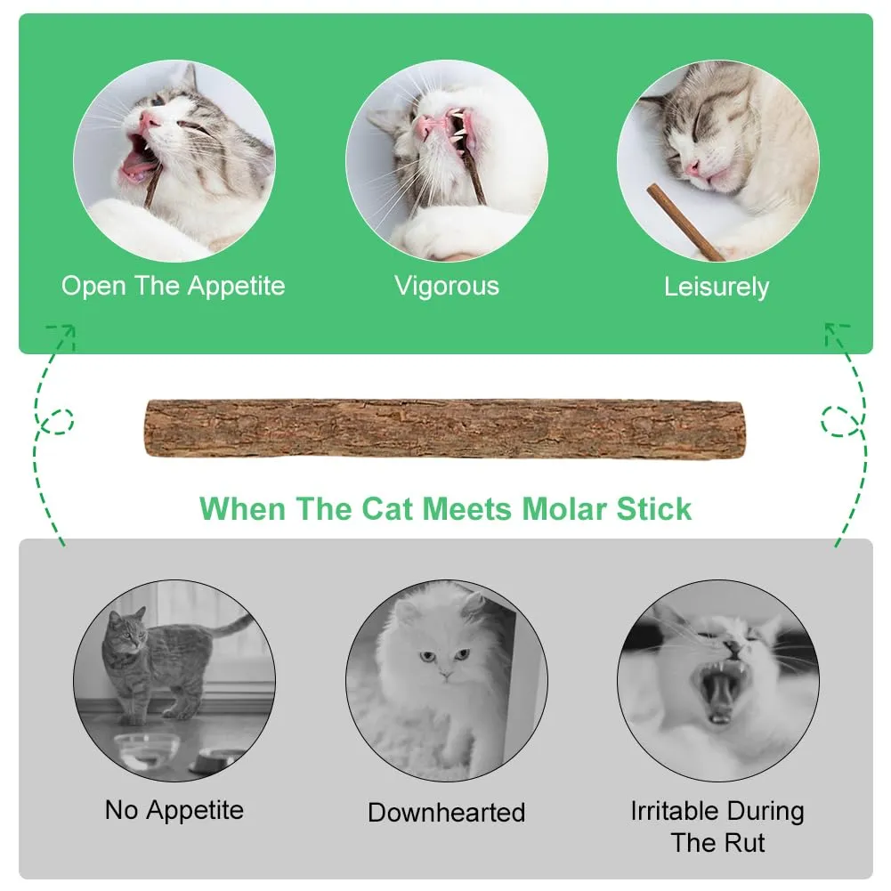 OSDUE Giocattolo di Erba Gatta 16 Pezzi Gatti Masticare per Dental Care - immagine 5