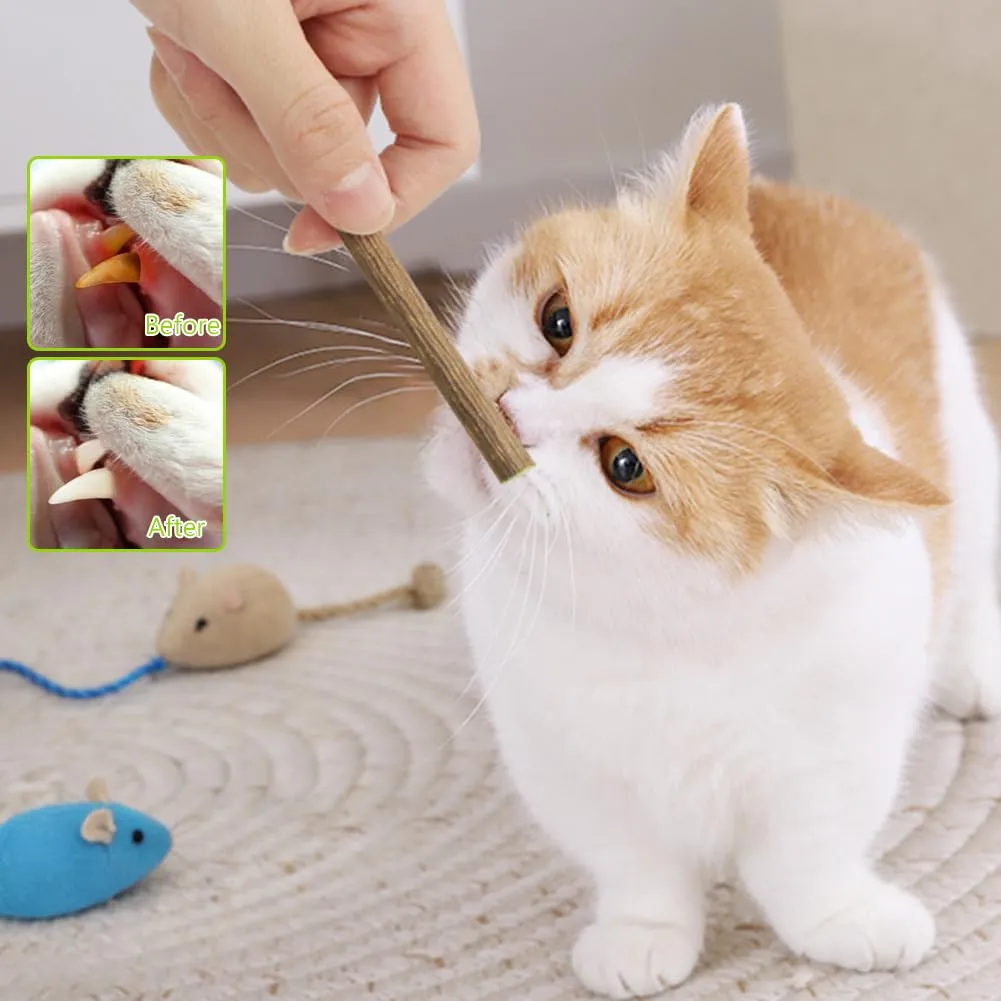 OSDUE Giocattolo di Erba Gatta 16 Pezzi Gatti Masticare per Dental Care - immagine 6