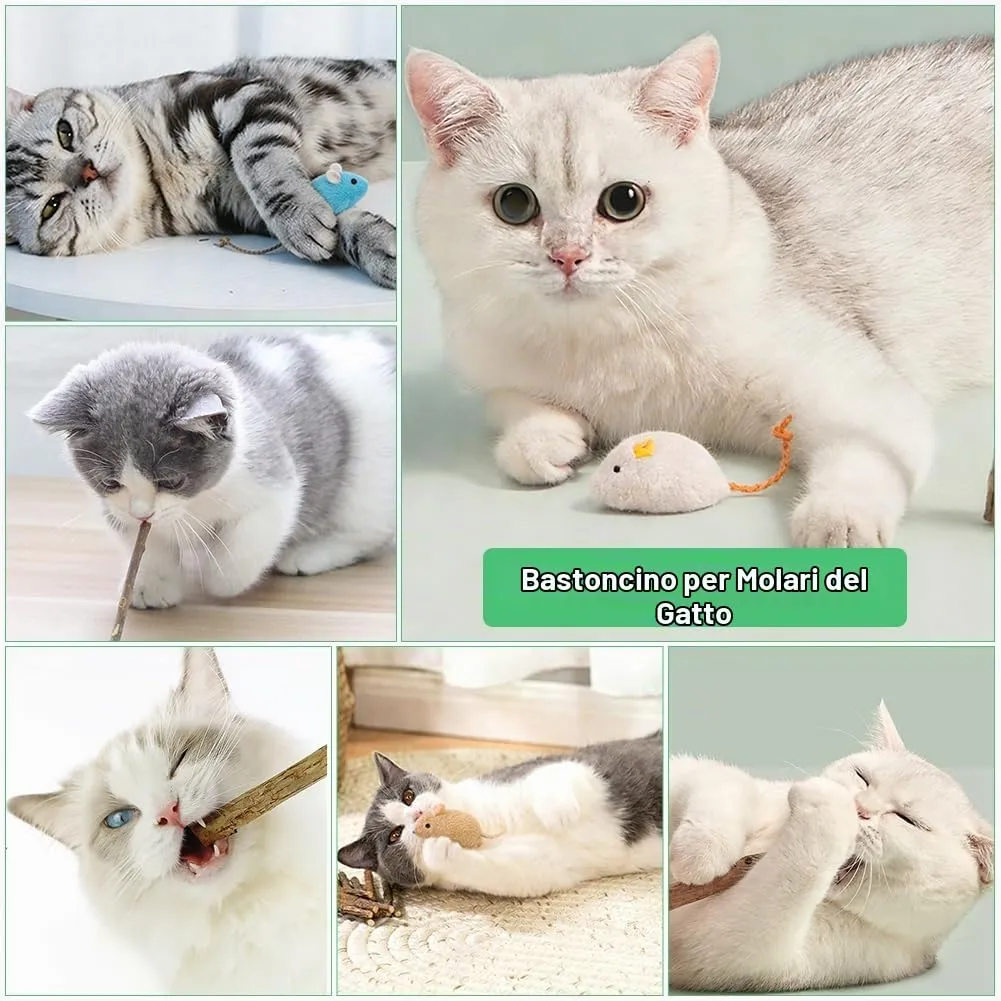 OSDUE Giocattolo di Erba Gatta 16 Pezzi Gatti Masticare per Dental Care - immagine 7