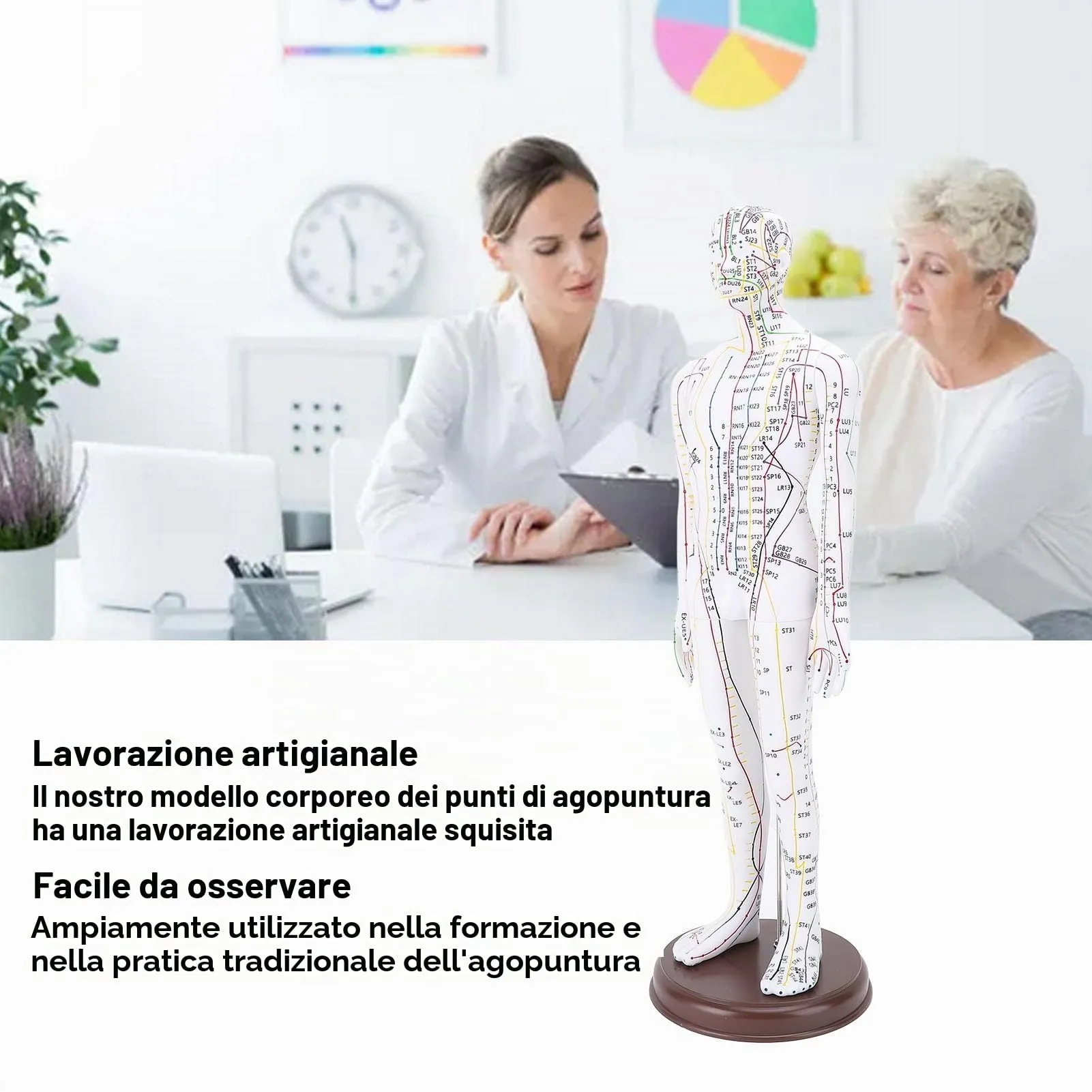 Modello di Agopuntura, Modello di Agopuntura del Corpo Umano Alta Definizione per l'insegnamento degli Studenti - immagine 4