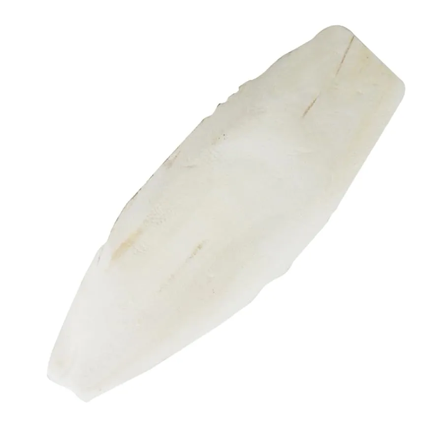 Lucky Reptile Osso di seppia, confezione da 1 (1 x 32 g) - immagine 2